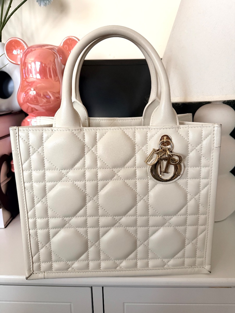Dior Book Tote 2024